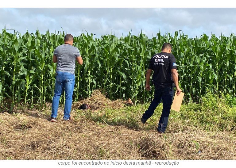 Corpo de homem morto a tiros é encontrado em milharal de MT