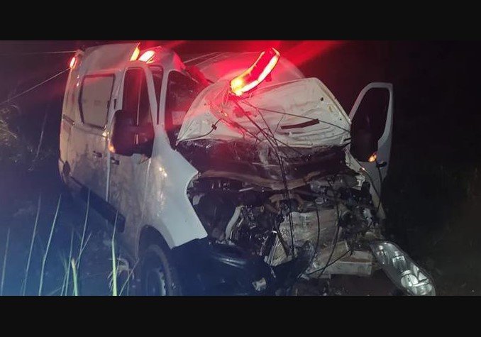 Equipe de saúde fica ferida após ambulância bater em anta na MT-423