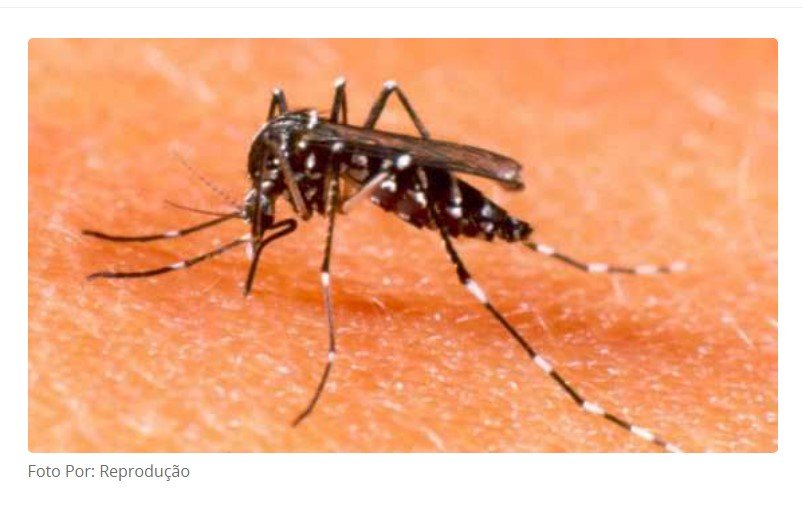 Vacina japonesa contra dengue deve chegar a MT mês que vem; (Atualizada)