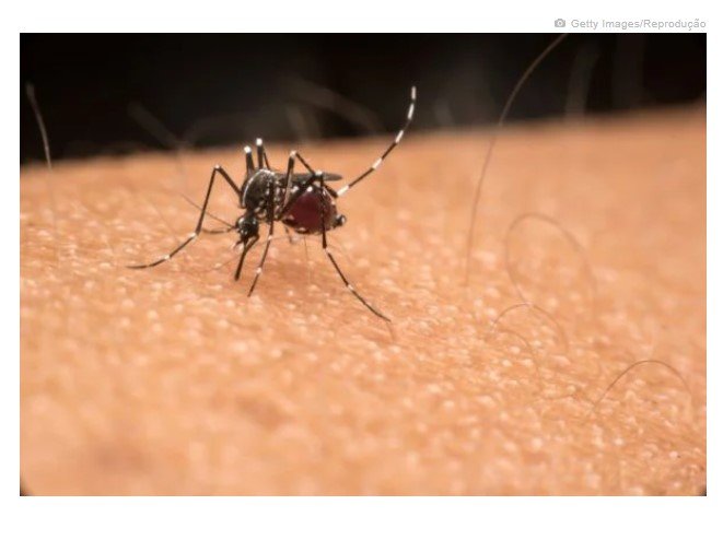 Fiocruz detecta casos de dengue tipo 3 após 15 anos sem epidemias