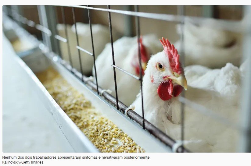 Reino Unido identifica vírus da gripe aviária em dois humanos, diz agência