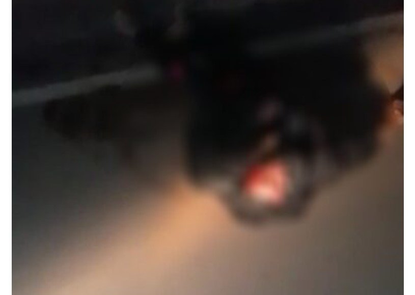 Homem é encontrado morto próximo a ponte do Rio Teles Pires
