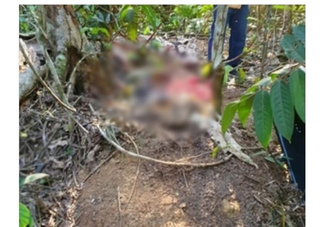 Corpo com as mãos amarradas é encontrado em área de mata em Sinop