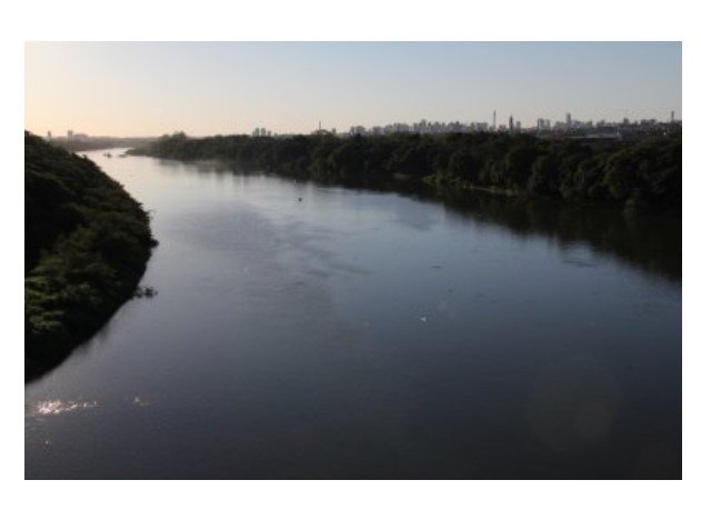 Relatório da AL sugere paralisação da pesca e 'vale anzol' por 3 anos em MT