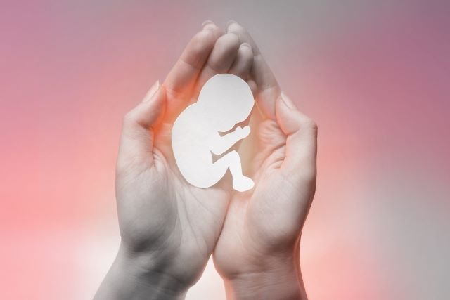 AL aprova em 1° votação programa polêmico sobre aborto em MT
