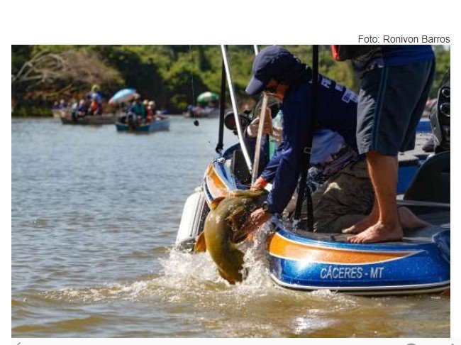 Inscrições para todas modalidades de pesca do 40° Fipe estão abertas