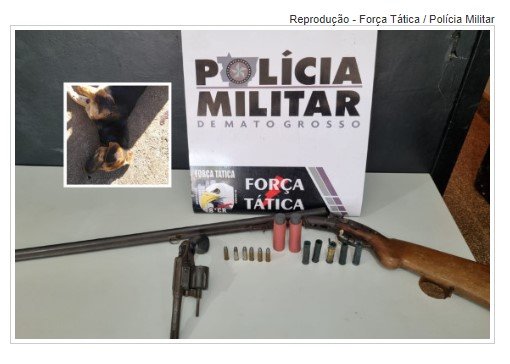 Homem de 81 anos é preso por matar cachorro da vizinha a tiros em MT