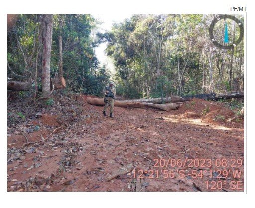Líderes indígenas são alvos de operação da PF que combate desmatamento ilegal no Parque do Xingu
