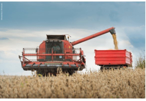 Produtores seguram soja à espera de preços melhores