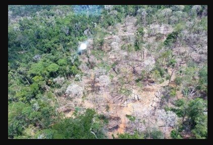 Justiça mantém multa de R$ 150 mil contra empresário que desmatou Amazônia