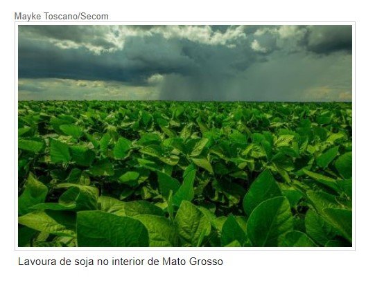 Indígenas de MT faturam R$ 10 mi ao ano com lavoura e pedágio