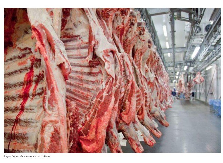 Mato Grosso bate recorde no volume de carne bovina exportada
