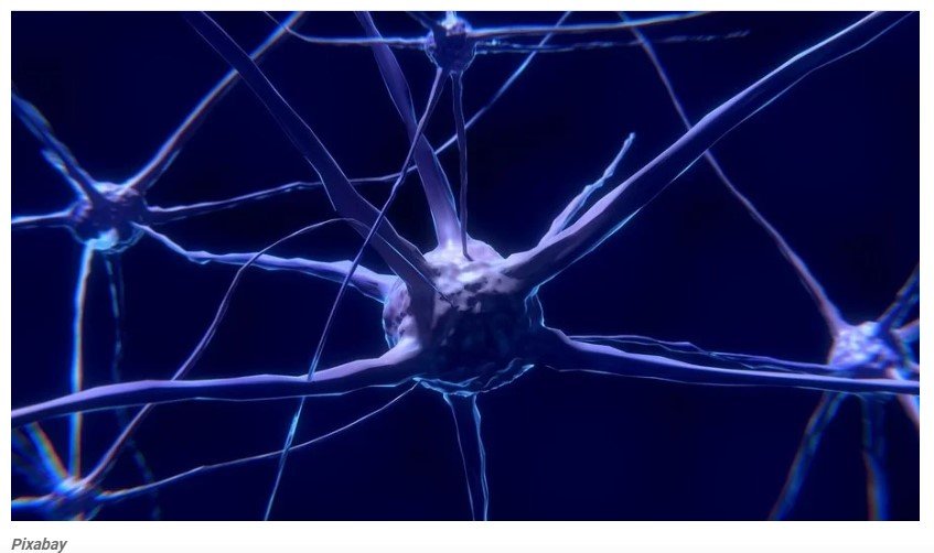 Alzheimer: droga retarda em 60% a progressão da doença