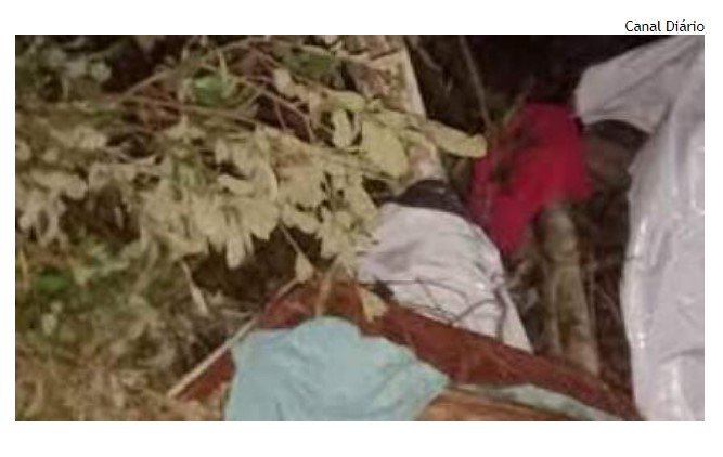 Casal morre esmagado por árvore que caiu sobre barraca em que dormiam em mata