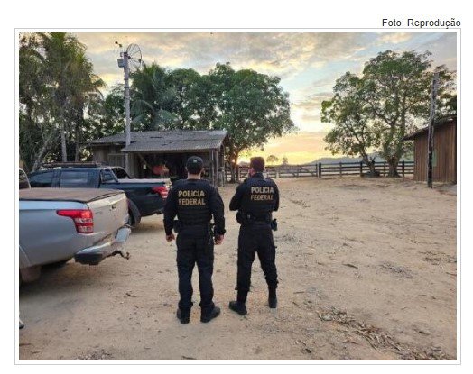 PF bloqueia R$ 116 milhões e sequestra 10 mil cabeças de gado de fazendeiro de MT