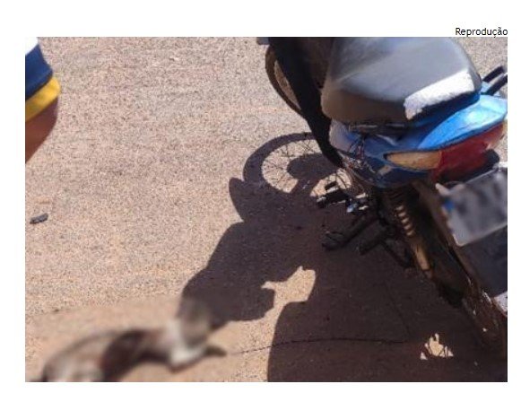 Idoso é preso por arrastar gato preso a sua moto por 4km