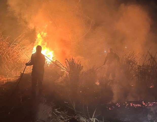 Bombeiros de Colíder combatem incêndio em chácara nos fundos de residencial. (Vídeo)