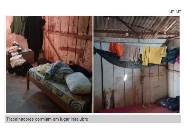 Criança de 2 anos, mulher grávida e 5 homens são resgatados de situação de escravidão