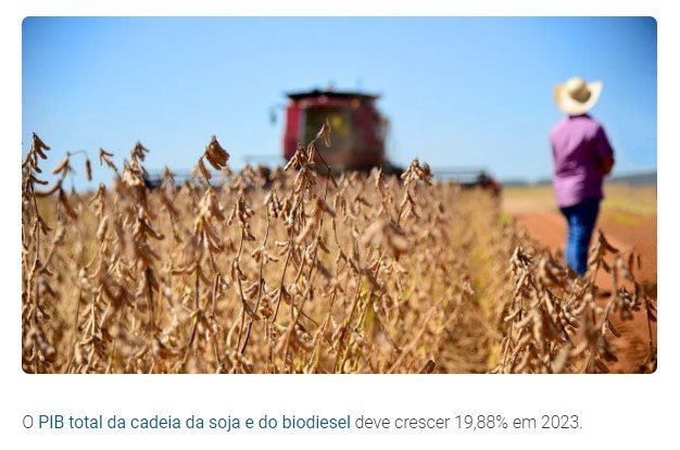 PIB da soja e do biodiesel no Brasil pode subir 20% em 2023
