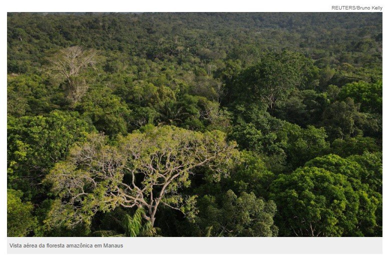 Presidente do BNDES pretende lançar programa de reflorestamento da Amazônia