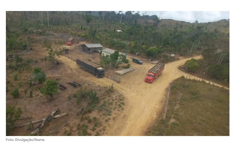 Ibama apreende 2 mil cabeças de gado em operação