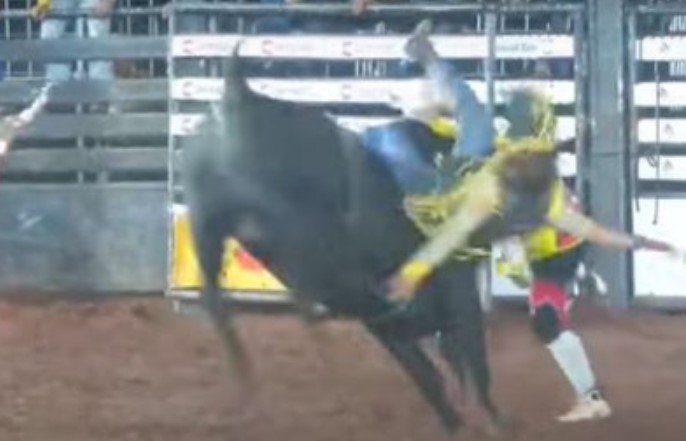 Peão fica preso em touro bravo durante rodeio em MT; vídeo
