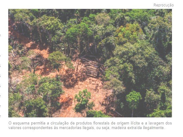 Polícia Civil e Gaeco fecham cerco contra quadrilha que fraudou créditos florestais