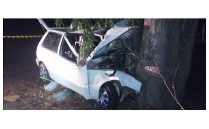 Anta na pista provoca acidente com duas mortes em MT