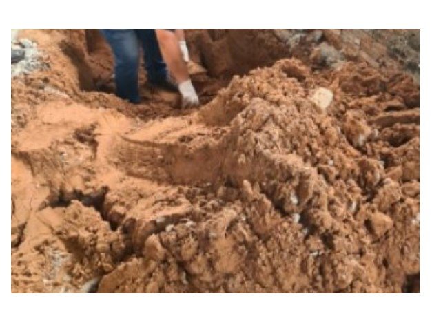 Garotos matam rapaz e enterram corpo nos fundos de casa em MT