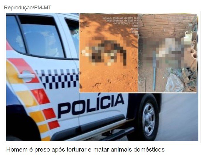 Homem é preso após torturar e matar animais domésticos