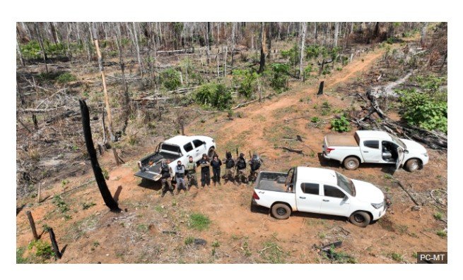 Operação Amazônia cumpre diligências na região norte do Estado de Mato Grosso