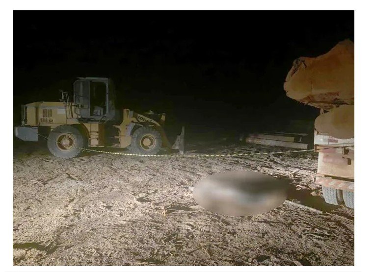 Homem morre após ser atingido por tora de madeira durante descarregamento em Nova Monte Verde