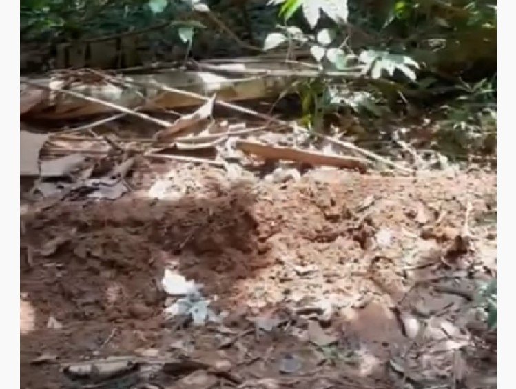 Corpo encontrado em cova rasa pode ser de homem desaparecido em Juara
