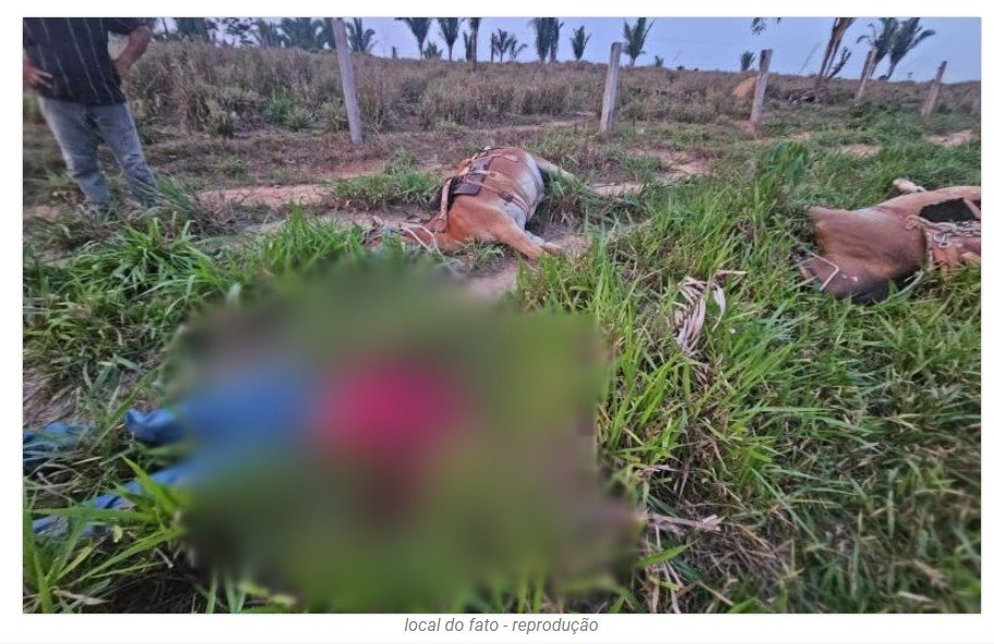 Homem, cavalo e burro morrem atingidos por raio em MT