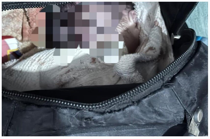 Adolescente aborta bebê e esconde feto na mochila dentro de casa em MT