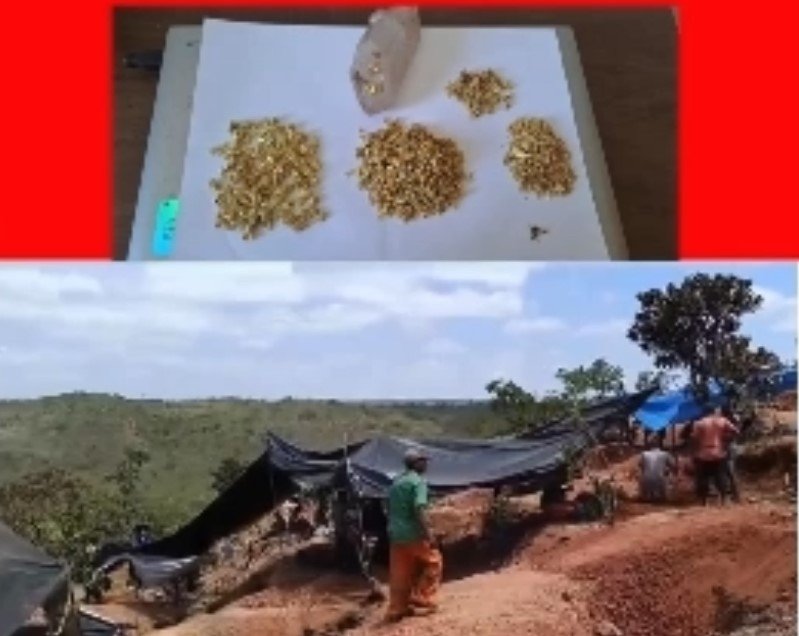 Nova Serra Pelada? Pedrista de T. Otoni diz ter descoberto área com ouro e lugar já acumula mais de 600 homens