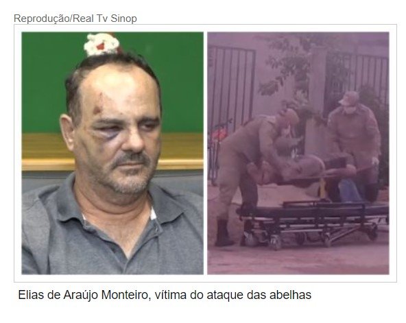 'Eu ia morrer', diz homem salvo quando era atacado por abelhas