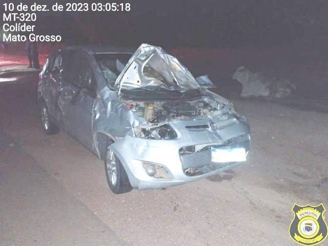 Carro fica destruído na MT-320 de Colíder por vacas soltas na pista. (Vídeo)
