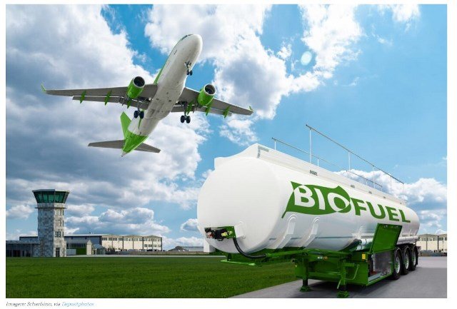 Nova biorrefinaria na Bahia produzirá combustível sustentável de aviação com macaúba e tecnologia da Honeywell