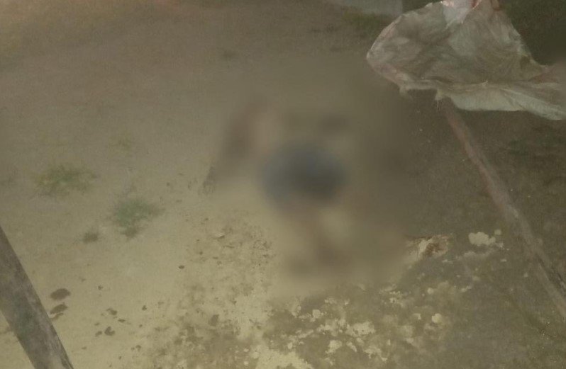 Pai é morto a tiros pelo próprio filho na Linha 31 em Guarantã do Norte