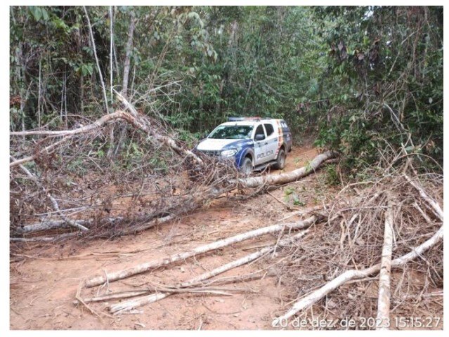 PM é recebida a tiros durante ação contra desmatamento ilegal em Nova Ubiratã