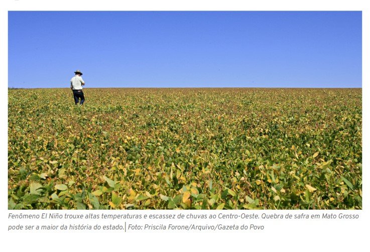 Pela primeira vez na história, safra pode quebrar “de verdade” em Mato Grosso
