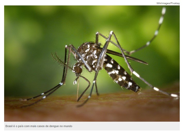 Dourados é a primeira cidade do mundo a realizar vacinação em massa contra a dengue