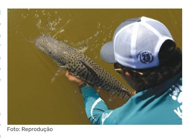 STF marca audiência de conciliação sobre lei da pesca em MT