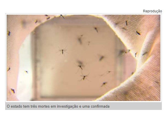 Mato Grosso é o 12° estado com maior incidência de dengue com 4,2 mil casos; Brasil tem 94 mortes