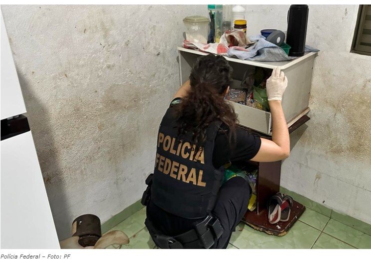 PF prende homem que armazenava 243 arquivos de pornografia infantil no celular