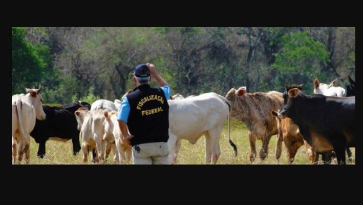 Greve dos fiscais federais podem afetar exportações de carne de Mato Grosso e preocupa pecuaristas