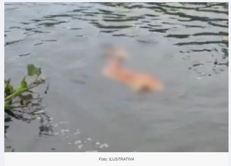 Perna humana tatuada é encontrada boiando em Rio em MT