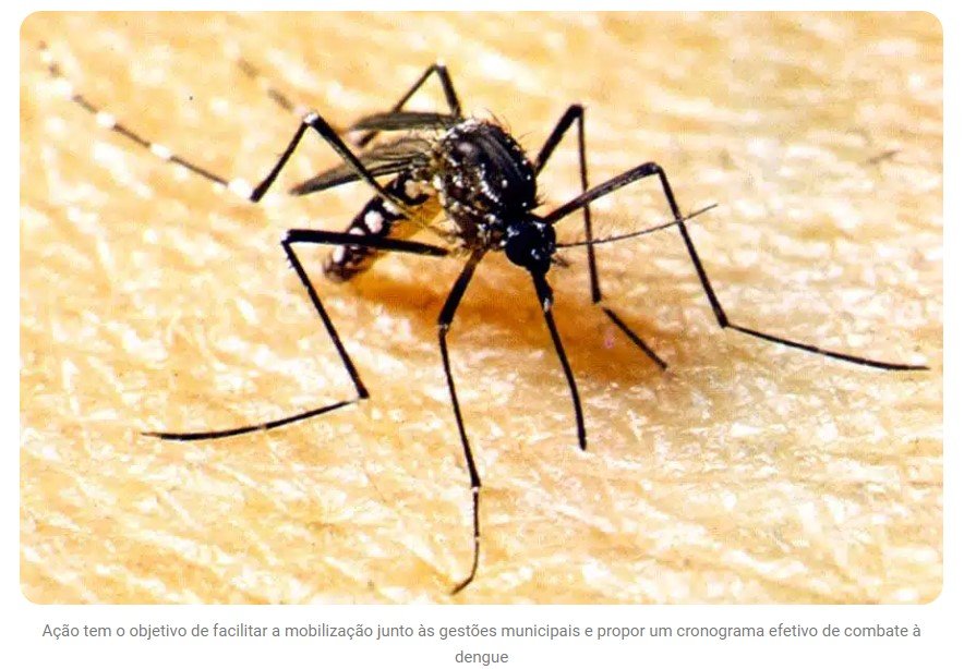 Semana D contra dengue em Mato Grosso será de 18 a 30 de março
