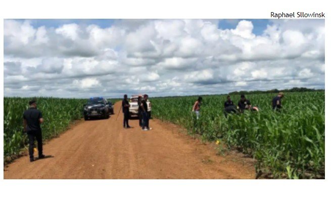 Corpo é encontrado em lavoura de milho no interior de MT